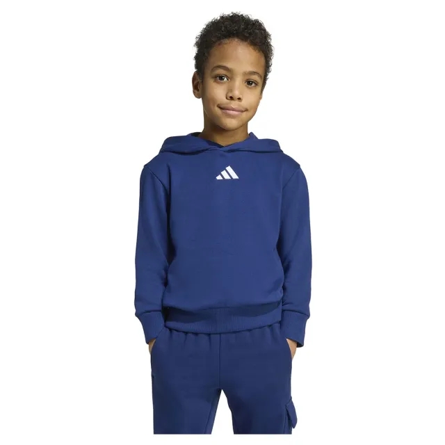 Adidas Essentials Hoodie