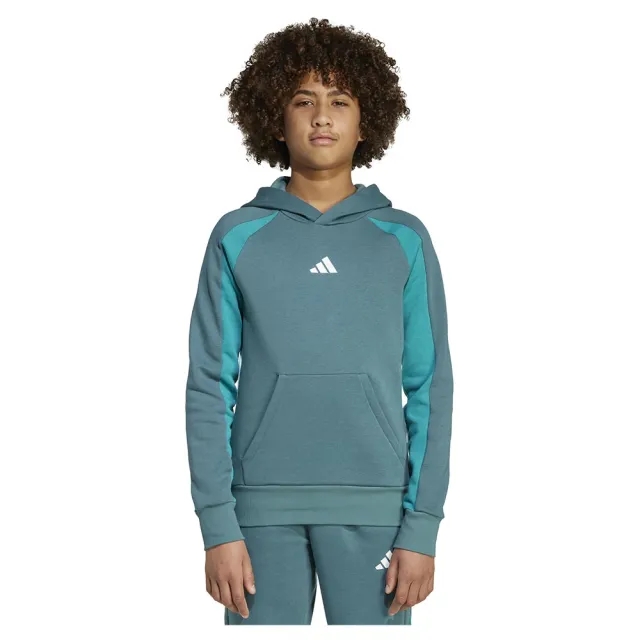 Adidas Seasonal Essentials Colorblock Fleece Hoodie