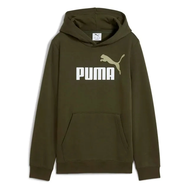 Puma Ess 2 Color Nº 1 Logo Hoodie