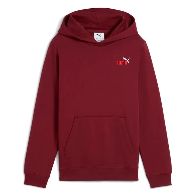 Puma Ess 2 Color Small Nº 1 Logo Hoodie