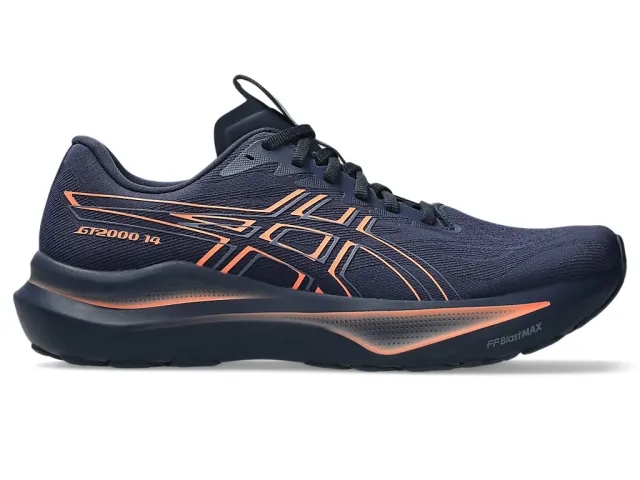 Asics Gt-2000 14