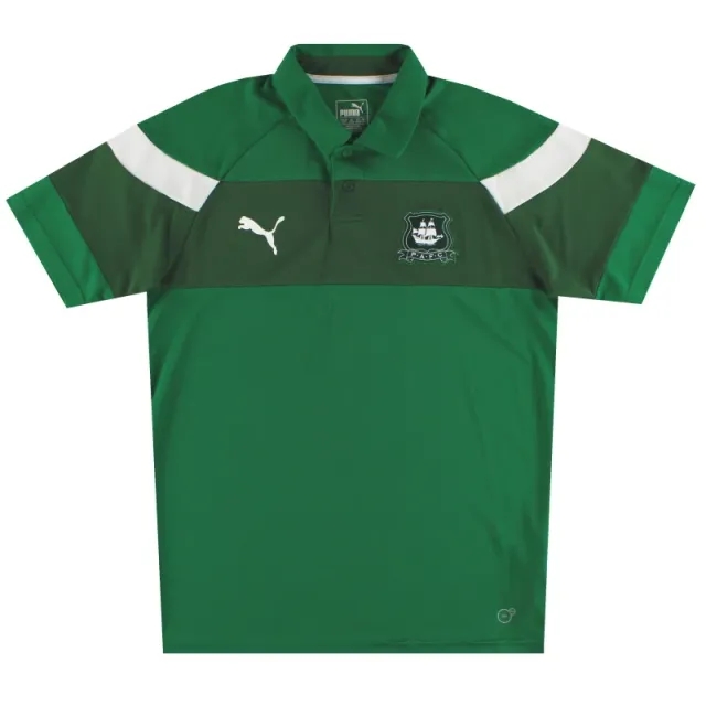 2018-19 Plymouth Puma Polo Shirt M - Plymouth Argyle / Excellent 