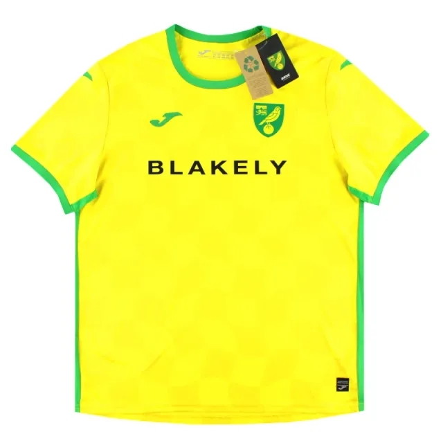 2024-25 Norwich City Joma Home Shirt *BNIB* - Norwich City / BNIB 