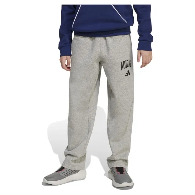 Adidas Seasonals Essentials Collegiate Typography Pants