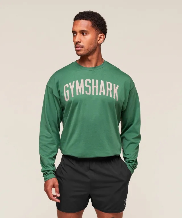  Worn Graphic Long Sleeve T-Shirt - Lift Green
