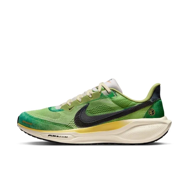 Nike Pegasus 41 SE Men's Road Running Shoes - Multi-Colour