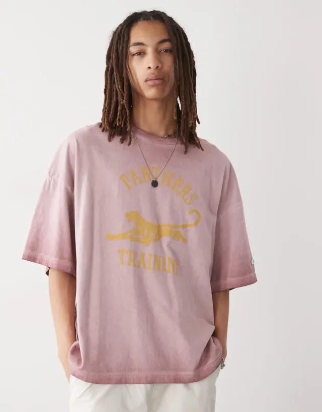 Champion Graphic T-Shirt In Burgundy-Red