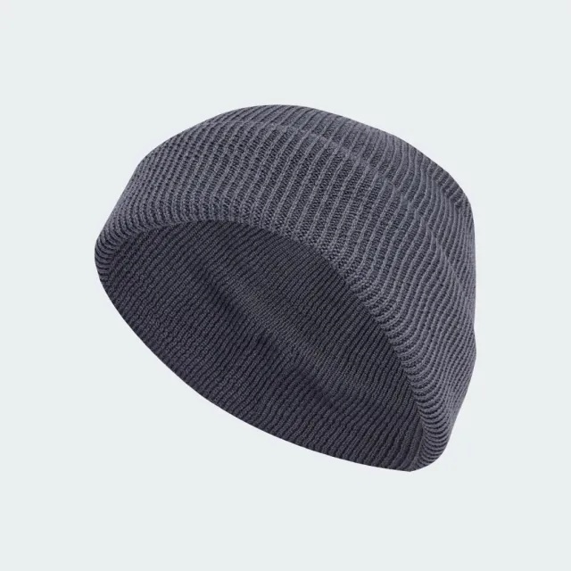 adidas Terrex Xploric Merino Beanie