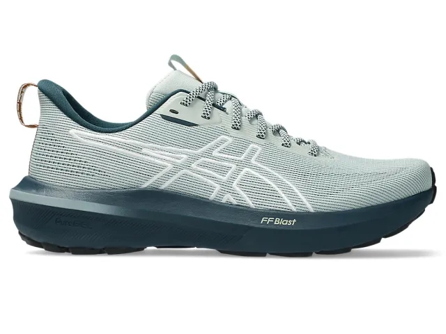 Asics Gt-1000 14 Nature Bathing
