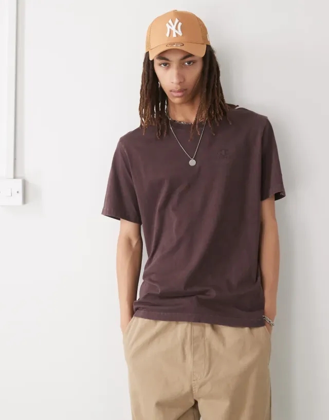 Champion Crewneck T-Shirt In Brown