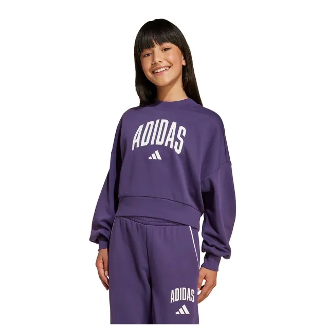 Adidas Seasonals Essentials Collegiate Typography Crewneck Sweatshirt