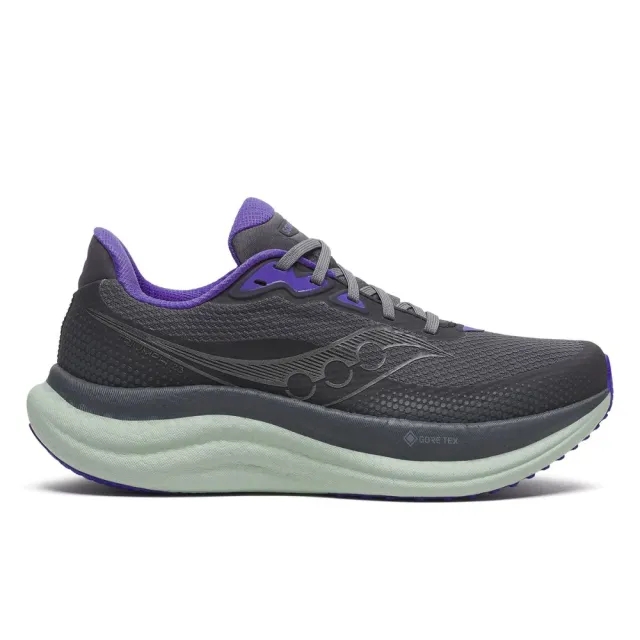 Saucony - Triumph 23 GTX in Grey