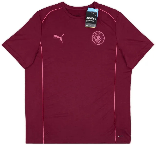 2024-25 Manchester City Puma Casual Tee (L)