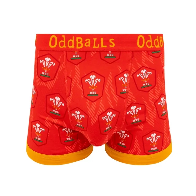 Welsh Rugby Union Flames - Mens Boxer Shorts
