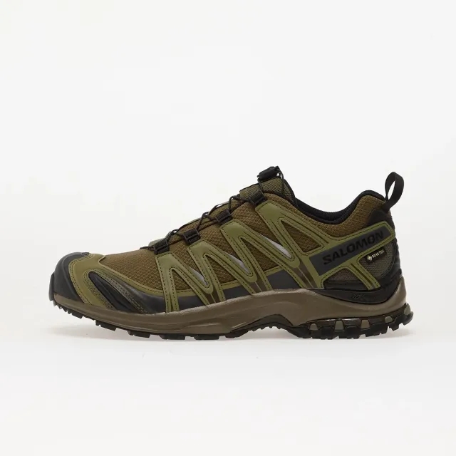 Salomon XA PRO 3D GTX