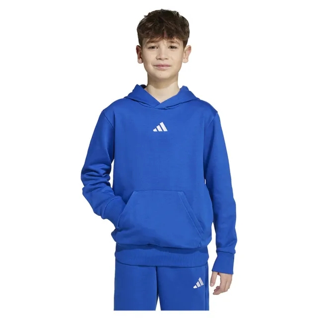 Adidas Essentials Hoodie