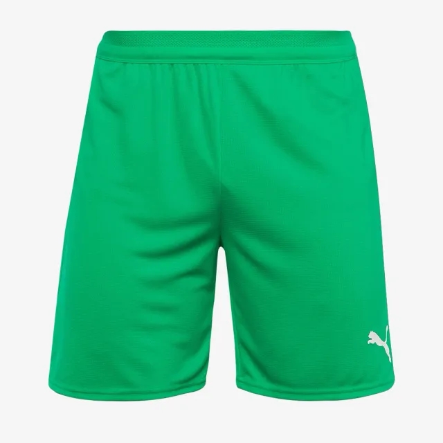 Puma teamCUP 25 Shorts