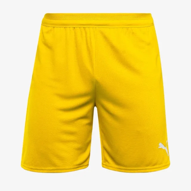 Puma teamCUP 25 Shorts